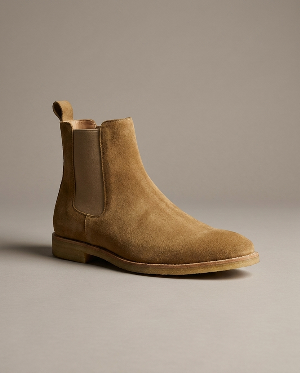 Camel